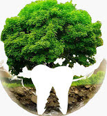 Best Hillsboro dentist